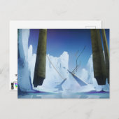 永遠の戦場のはがき ポストカード (正面/裏面)