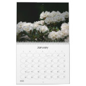 永遠の春2010年 カレンダー (1月 2026)