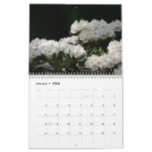 永遠の春2011年 カレンダー (1月 2026)