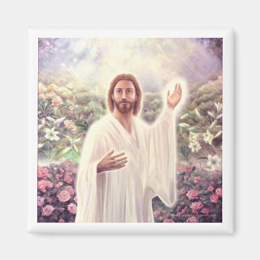 永遠の生命磁石 マグネット (正面)