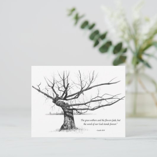 永遠の神の言葉:鉛筆で切り取られた木 ポストカード (スタンド正面)