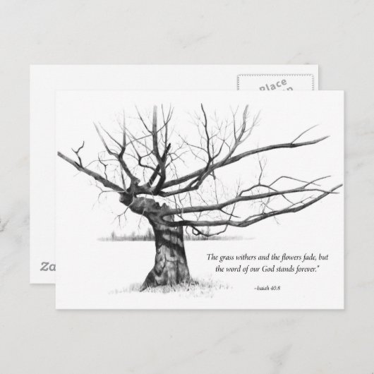永遠の神の言葉:鉛筆で切り取られた木 ポストカード (正面/裏面)