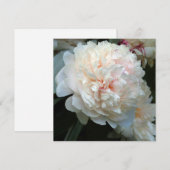 永遠の芍薬 (正面/裏面)