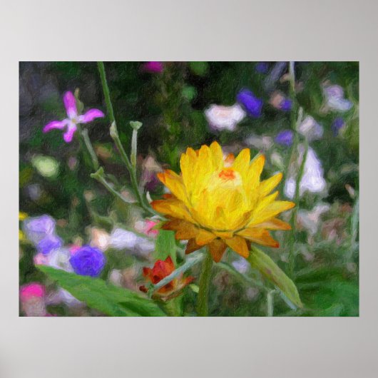 永遠の花。 ポスター (正面)