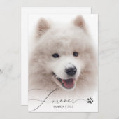 永遠シンプルの脚本ペット記念撮影ありがとう サンキューカード (正面/裏面)