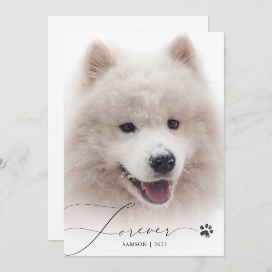 永遠シンプルの脚本ペット記念撮影ありがとう サンキューカード (正面/裏面)