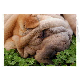 永遠包まれたののまわりにハート