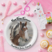 永遠走に自由 ペーパープレート (パーティー)