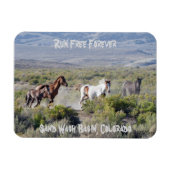 永遠走に自由 マグネット (横)