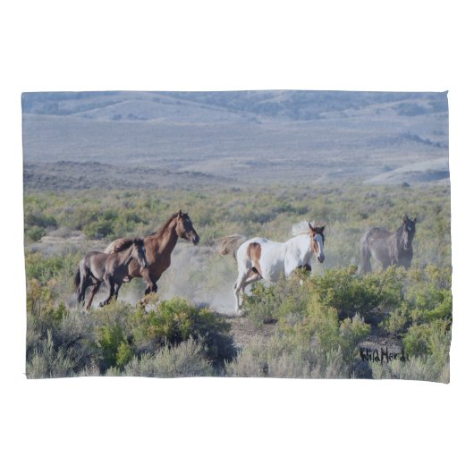 永遠走に自由 枕カバー (正面)