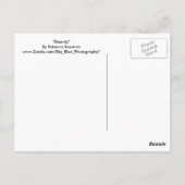 永遠 ポストカード (裏面)