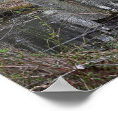 氾濫した木のポスター ポスター (角)