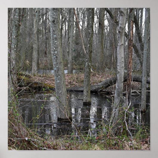 氾濫した木のポスター ポスター (正面)