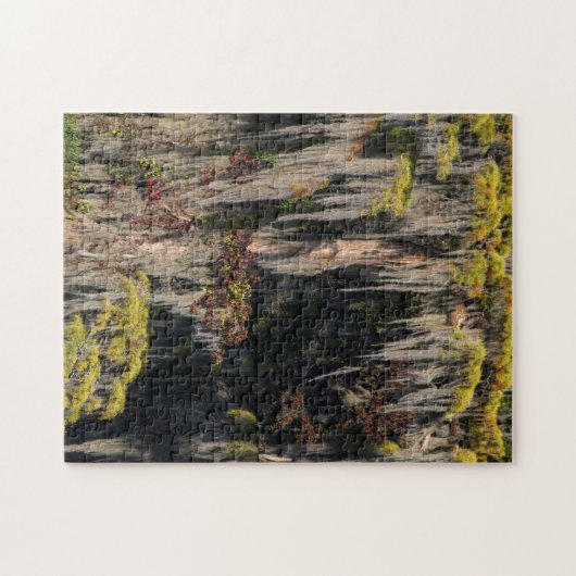 氾濫した沼のひときわの池 ジグソーパズル (横)