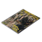 氾濫した沼のひときわの池 ノートブック (左側)