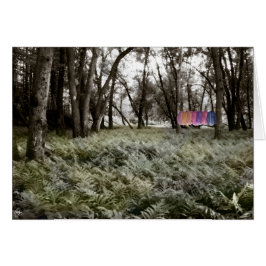 氾濫原の森のカードのシャツ