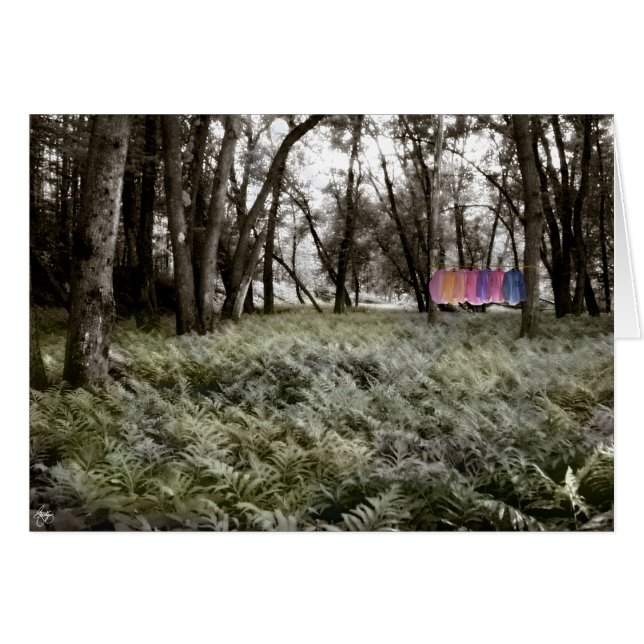 氾濫原の森のカードのシャツ (正面横)