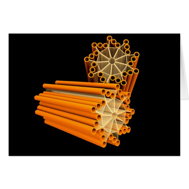 求心の概念図1 (正面横)