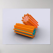 求心の概念図2 ポスター (正面)