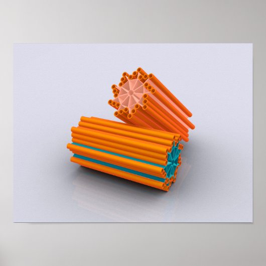 求心の概念図2 ポスター (正面)