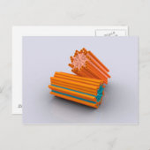 求心の概念図2 ポストカード (正面/裏面)