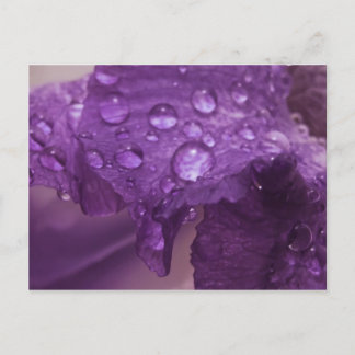 汗の虹彩 ポストカード