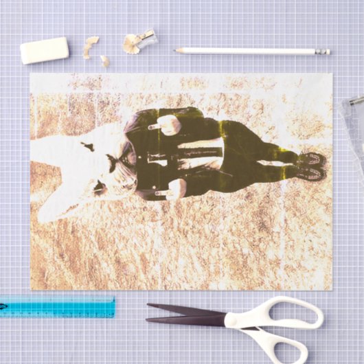 汗をかくウサギの衣装セピア動揺して 薄葉紙 (クラフト)