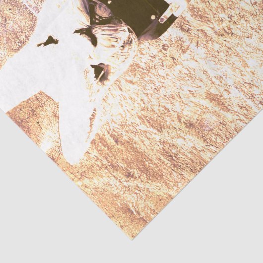 汗をかくウサギの衣装セピア動揺して 薄葉紙 (詳細)