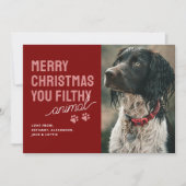 汚いおもしろい動物ペットのクリスマスカード シーズンカード (正面)