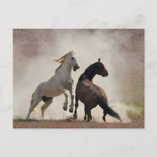 汚い仕事 ポストカード