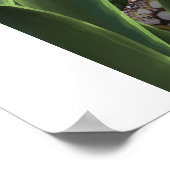 汚い水槽 ポスター (角)