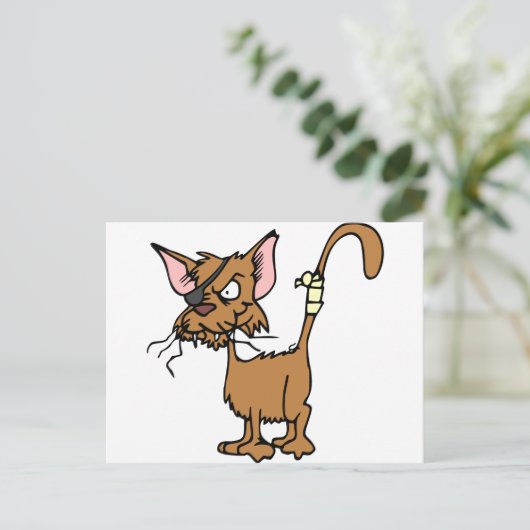 汚い猫 ポストカード (スタンド正面)