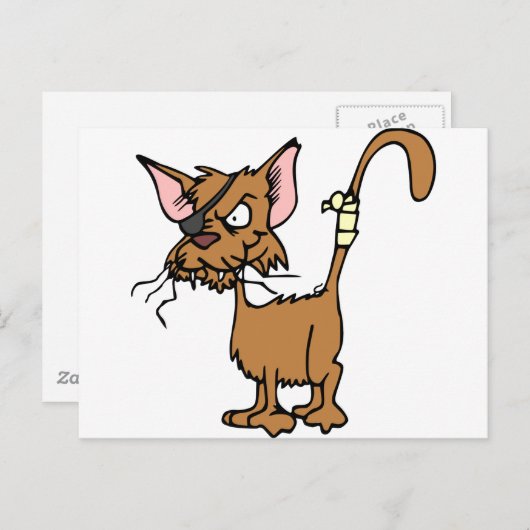 汚い猫 ポストカード (正面/裏面)