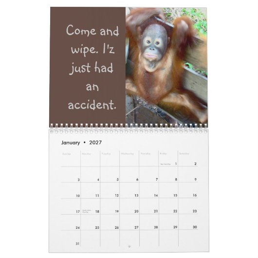 汚れたおむつおよびベビーのサルの大失策 カレンダー (1月 2027)