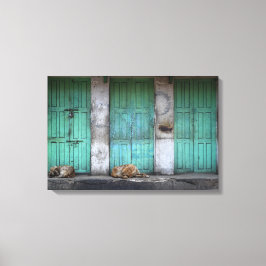 汚れた緑のドアのキャンバスの前に野良犬 キャンバスプリント