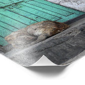 汚れた緑のドアの前の野良犬の写真 フォトプリント            (角)