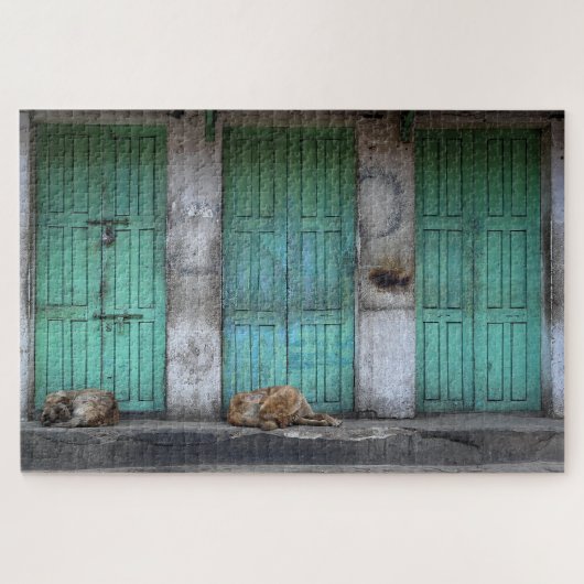 汚れた緑のドアの前の野良犬 ジグソーパズル (横)
