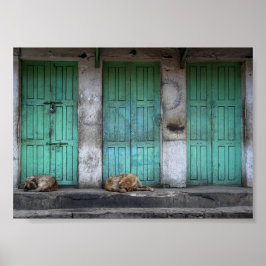 汚れた緑のドアの前の野良犬 ポスター