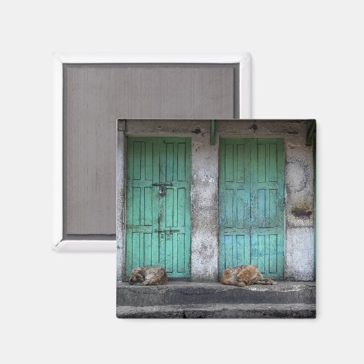 汚れた緑のドアの磁石の前に野良犬 マグネット (正面/裏面)