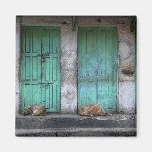 汚れた緑のドアの磁石の前に野良犬 マグネット (正面)