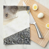 汚れた顔を搭載するプードルテリアの組合せ キッチンタオル (四つ折り)