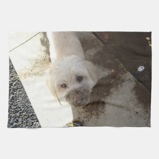 汚れた顔を搭載するプードルテリアの組合せ キッチンタオル (横)