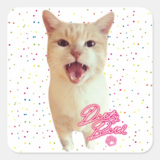 汚れた鳥のサイン入りシール スクエアシール (正面)