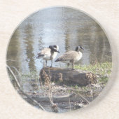 汚れた鳥 コースター (正面)