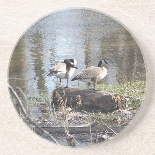 汚れた鳥 コースター (正面)