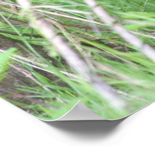 汚れた鼻 ポスター (角)