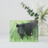 汚れた鼻 ポストカード (スタンド正面)