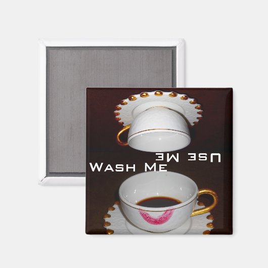 汚れや清潔:私を洗うか、私の皿を使う マグネット (正面/裏面)