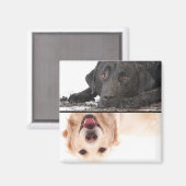 汚れ犬クリーン犬食洗機磁石 マグネット (正面/裏面)