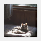 汚れ磁石 マグネット (正面)